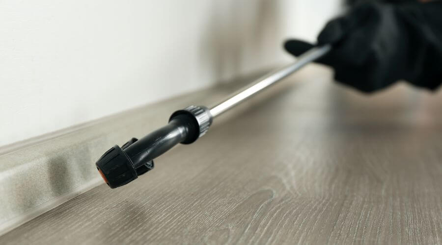 Professional best pest control chandler az services in Chandler